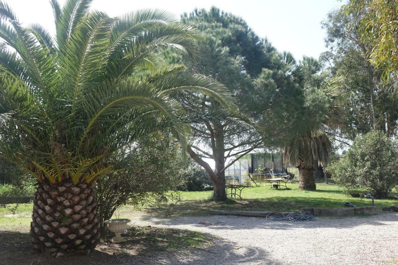 Mas Du Roc Villa Saint-Nazaire  Eksteriør billede